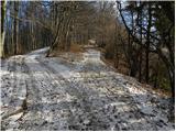 Jelševica - Črni vrh (Čemšeniška planina)